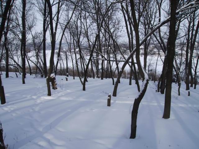 Вид на Днепр из посадки