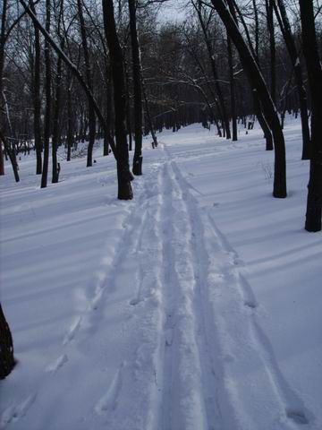 Мой след