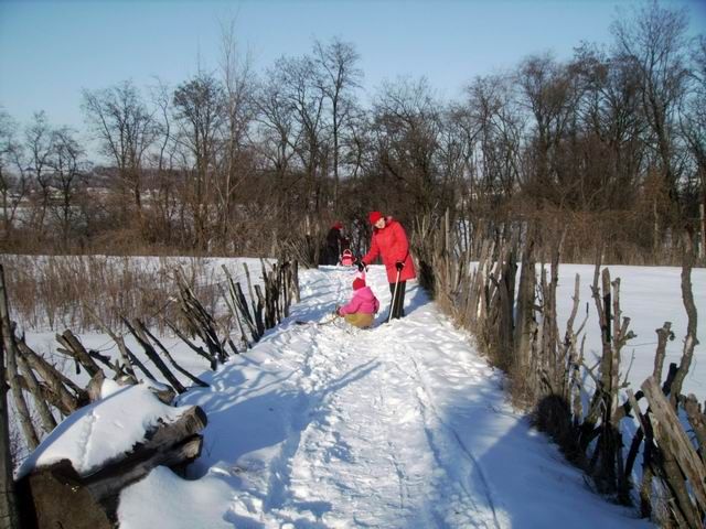 Тропинка между огородов в посадку