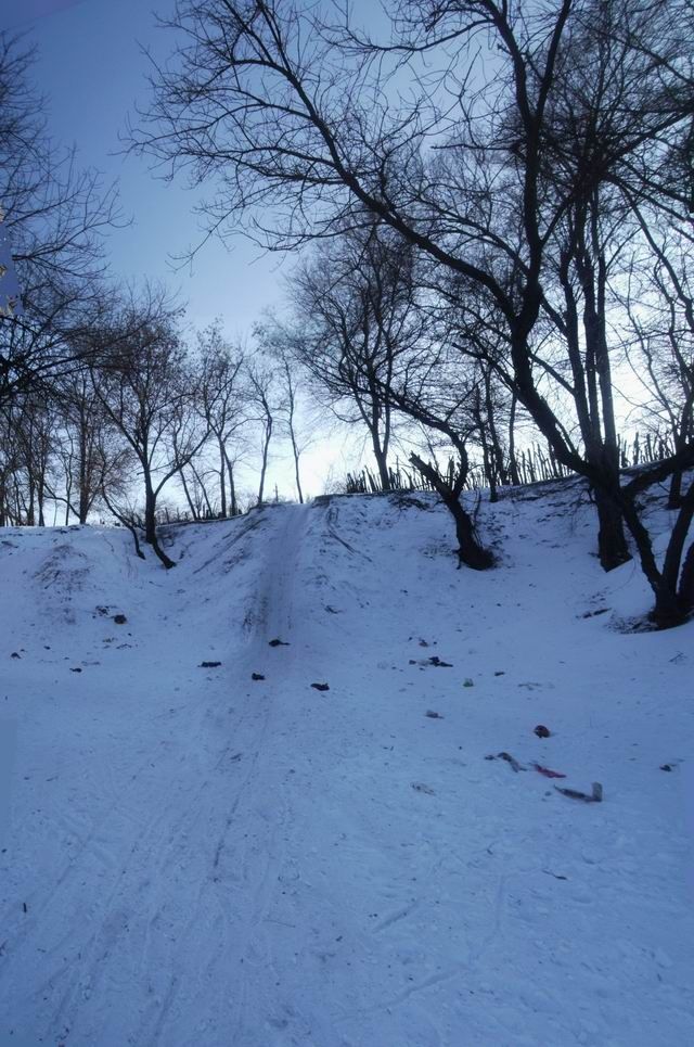 вертикальная панорама