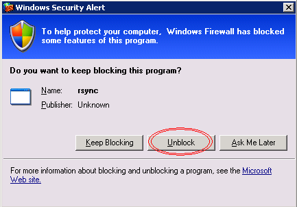 Windows Firewall: Блокирование rsync демона.